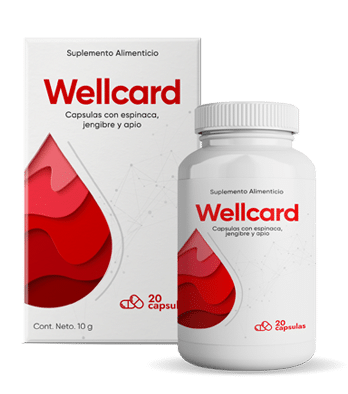 Wellcard Cos'è?