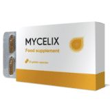 Mycelix what is it?
